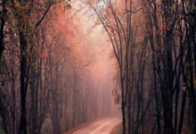 开云体育入口-迈凯伦翻盘红牛二队，佩雷兹惊艳四座