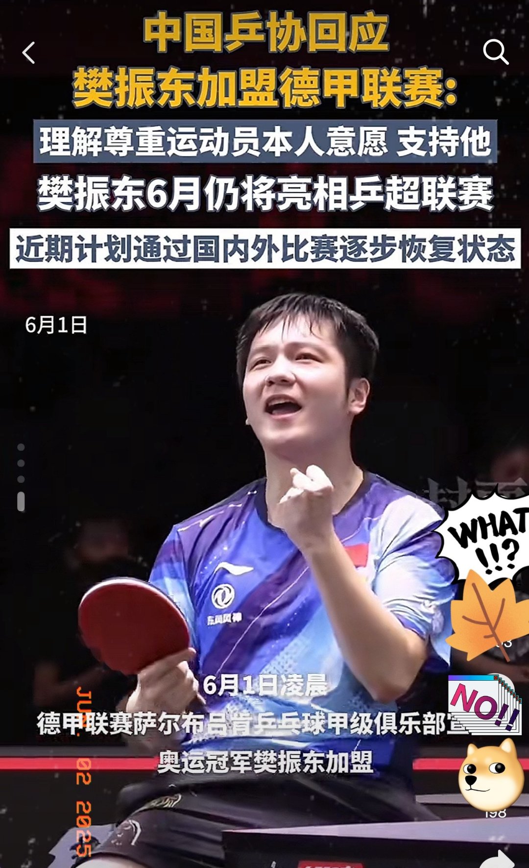 包含瑞典乒乓球队翻盘德国乒乓球队,樊振东制霸全场的词条 包含瑞典乒乓球队翻盘德国乒乓球队,樊振东制霸全场的词条