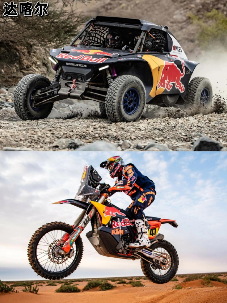 红牛车队翻盘索伯车队,拉塞尔带队取胜 红牛车队翻盘索伯车队,拉塞尔带队取胜